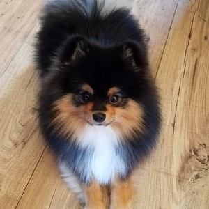 Meet your Posher, Nicole